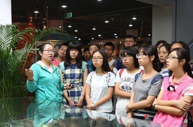 公开信息按发布时间滚动