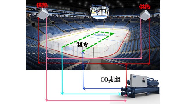 cctv5篮球公园栏目导航碳中和研究