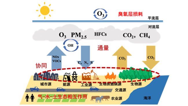 法国驻华大使馆代表团一行访问碳中和研究院
