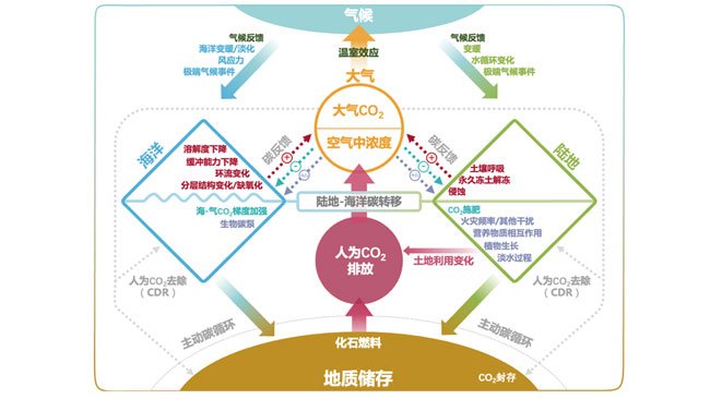 法国驻华大使馆代表团一行访问碳中和研